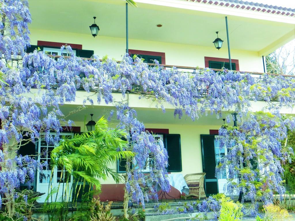 Quinta Do Cabouco Hotel Ribeira Brava Exterior photo